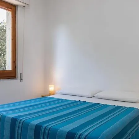 Casa Pineta - Cozy Place Inside A Pinewood 아파트 *