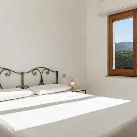 Casa Pineta - Cozy Place Inside A Pinewood