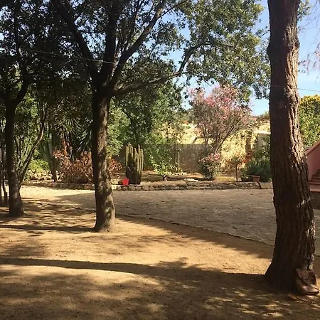 Casa Pineta - Cozy Place Inside A Pinewood *